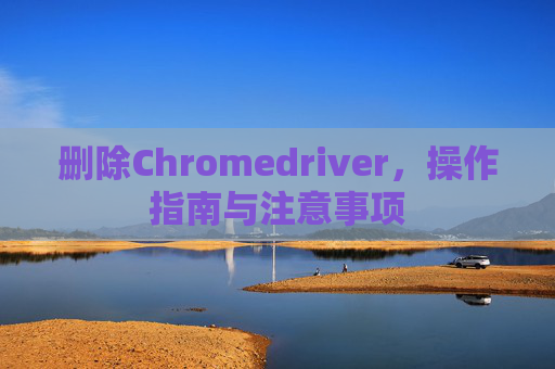 删除Chromedriver，操作指南与注意事项